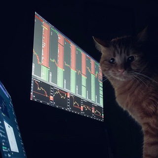 Telegram profile photo for Спекулянт по-николаевски
