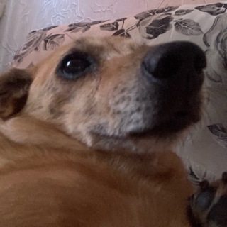 Telegram profile photo for ПОТЕХО