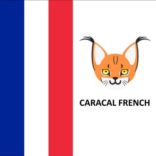 Telegram profile photo for Caracal_fr