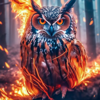 Telegram profile photo for Филин