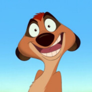 Telegram profile photo for Будни Тимона
