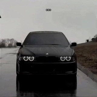 Telegram profile photo for ππππ π
ππ πππππ§οΈ