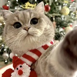 Telegram profile photo for vousina переходник