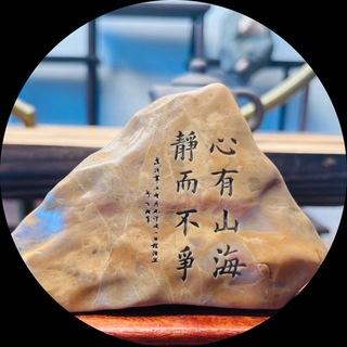 Telegram profile photo for Ws 劫持 一手机房直出