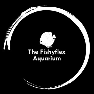 Telegram profile photo for The Fishyflex