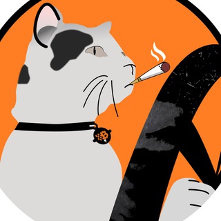 Telegram profile photo for Cat Driving Bitcoin $CBD