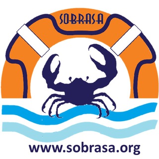 Telegram group profile photo for SOBRASA - prevenção, resgate e mitigação em afogamentos
