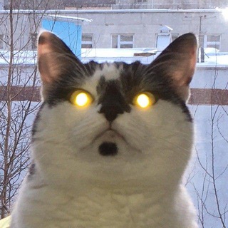 Telegram profile photo for Самоинсталляция