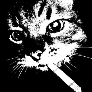 Telegram profile photo for Cubitum eamus?