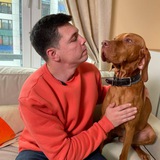 Telegram profile photo for Всеволод Оганезов про собак.