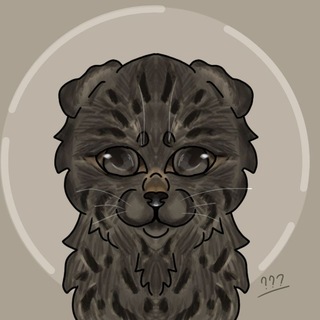 Telegram profile photo for Шотландские игры