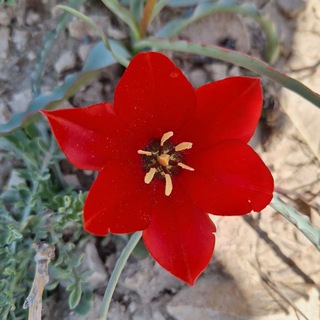Telegram profile photo for مطالب مفید وبرگزیده