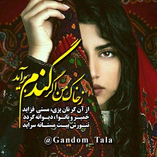 Telegram profile photo for 🌾🌾گندم🌾🌾