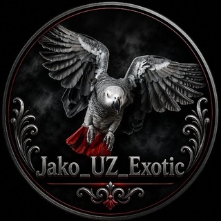 Telegram group profile photo for ⚜JAKO_UZ_Exotic⚜