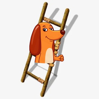 Telegram profile photo for 梯子用户群