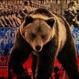 Telegram profile photo for Дух Русский