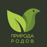 Telegram profile photo for 🌱 ПРИРОДА РОДОВ