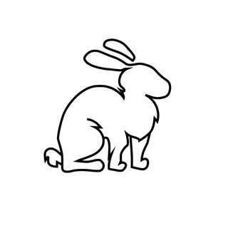 Telegram profile photo for SunshineRabbit | LCM