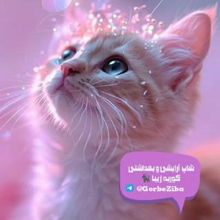 Telegram profile photo for 💜🐈گوربه زیبا