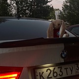 Telegram profile photo for Грустные будни владельца БМВ