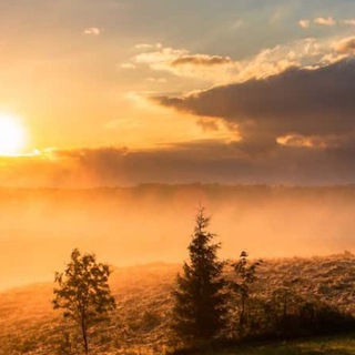 Telegram profile photo for Видеть завтрашний день