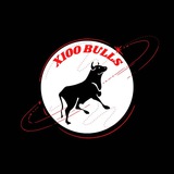Telegram profile photo for 🚀🚀X100BULLS🚀🚀