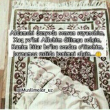 Telegram profile photo for Muslima😘