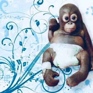 Telegram profile photo for стадия принятия говна