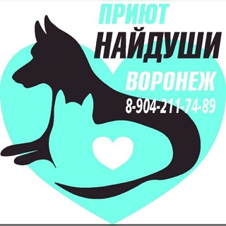 Telegram profile photo for Приют для бездомных животных "Найдуши"