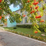 Telegram profile photo for Великокрушиновская базовая школа