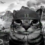 Telegram profile photo for ماین نه کرفت