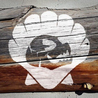 Telegram profile photo for Furpoc updates