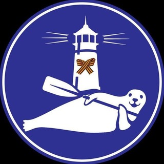 Telegram profile photo for Шкота новости
