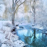Telegram profile photo for سه گانی های سحر سلمانی نژاد