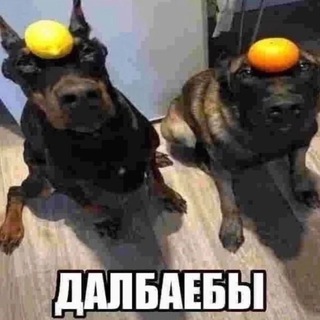 Telegram profile photo for гоніво