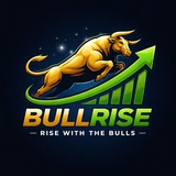 Telegram profile photo for Bullrise— Rise with the Bulls.” 🐂📈