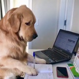 Telegram profile photo for Скелет лудоман