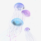 Telegram profile photo for JellYfish:🪼