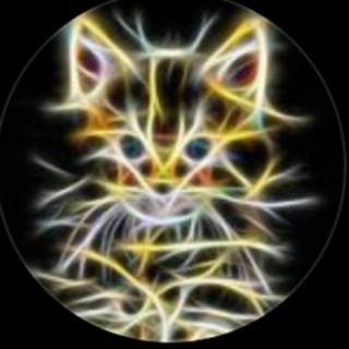 Telegram profile photo for Подпишись #МОНТЯН! (Телеграм)