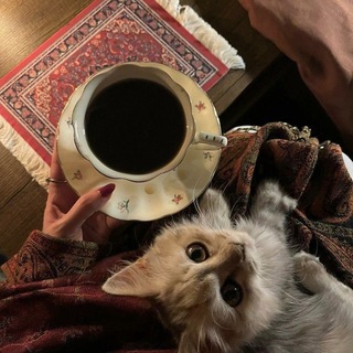 Telegram profile photo for ⚡️کانال رمانهای درخواستی📚pdf