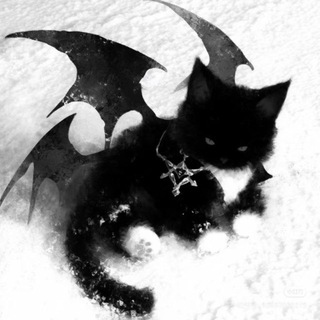 Telegram profile photo for Draxen Services