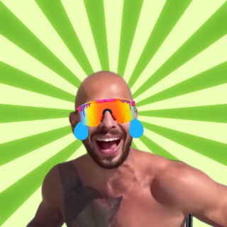 Telegram profile photo for Mog Tate | Ticker: $MOG