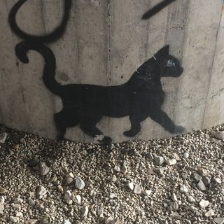 Telegram profile photo for Медиа головного мозга