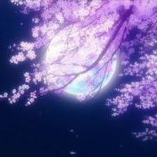 Telegram profile photo for Местечко под Сакурой 🌸