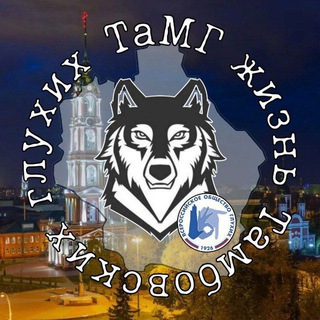 Telegram profile photo for ТВОГ68