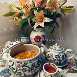 Telegram profile photo for myportmeirion_uk by Lya