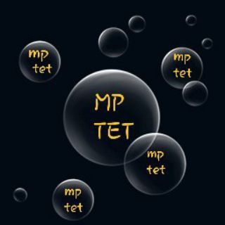 Telegram profile photo for Mp tet varg 3 preparation