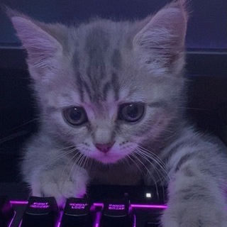 Telegram group profile photo for Null ShopHQ chat