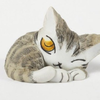 Telegram profile photo for кавардак