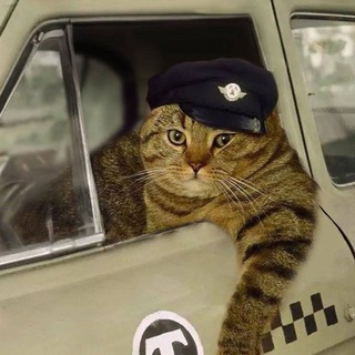 Telegram profile photo for яндекс такси через парк